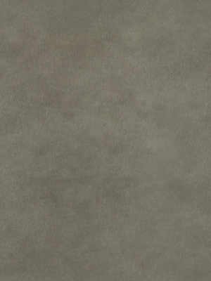 Front 194 - LAVA SHADOW